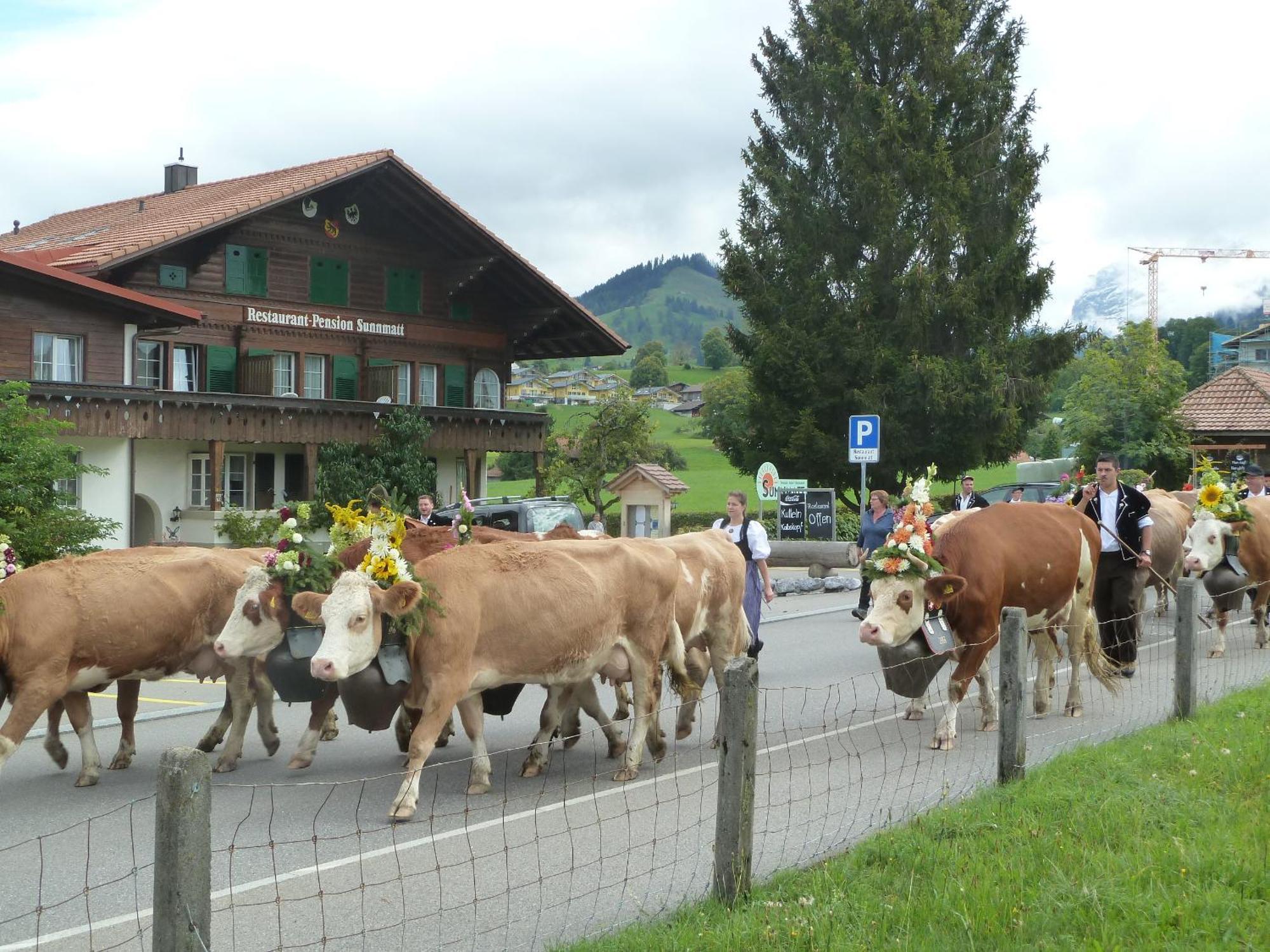 गेस्ट हाउस Restaurant Sunnmatt Aeschi Bei Spiez